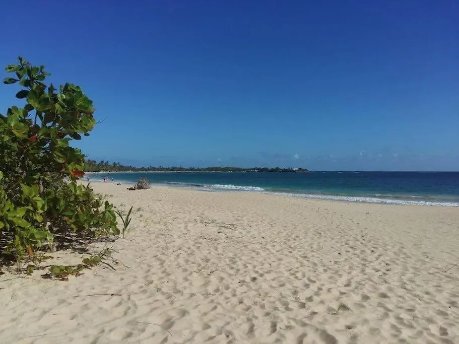 Vue Mer Site Paradisiaque Superbe Decoration Sainte-Luce Daire